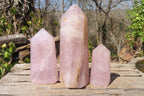 Polished Rose Quartz Points x 3 From Madagascar - Toprock Gemstones and Minerals 