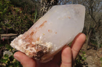 Natural Large Quartz Crystals  x 6 From Madagascar - Toprock Gemstones and Minerals 