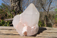 Natural Large Quartz Crystals  x 6 From Madagascar - Toprock Gemstones and Minerals 