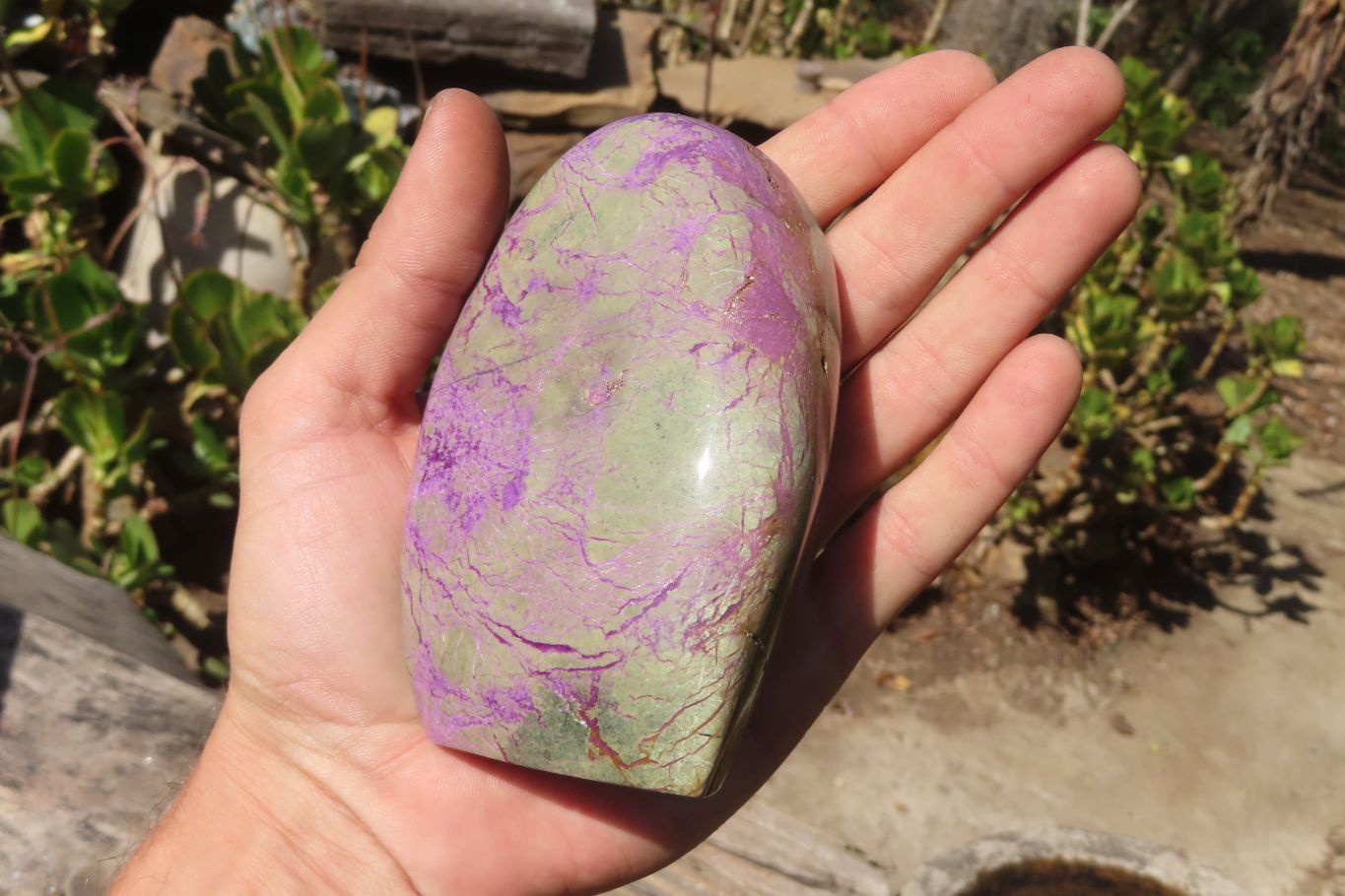 Polished Purple Stichtite Standing Free Forms x 2 From Barberton, South Africa - Toprock Gemstones and Minerals 