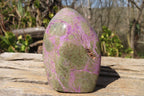 Polished Purple Stichtite Standing Free Forms x 2 From Barberton, South Africa - Toprock Gemstones and Minerals 