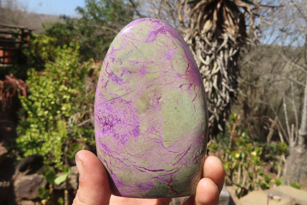 Polished Purple Stichtite Standing Free Forms x 2 From Barberton, South Africa - Toprock Gemstones and Minerals 