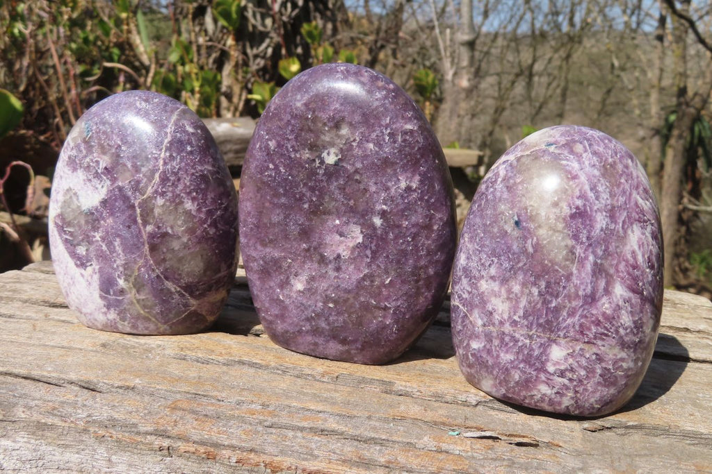 Polished Purple Lepidolite Standing Free Forms  x 3 From Zimbabwe - Toprock Gemstones and Minerals 