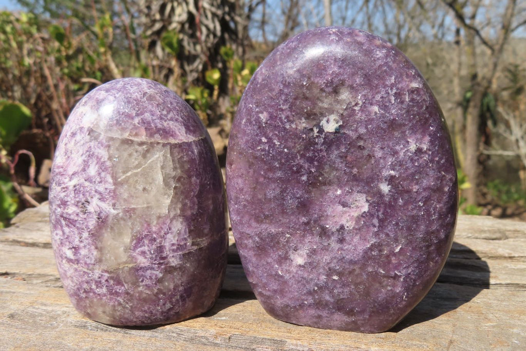 Polished Purple Lepidolite Standing Free Forms  x 3 From Zimbabwe - Toprock Gemstones and Minerals 