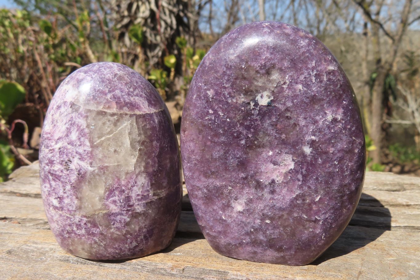 Polished Purple Lepidolite Standing Free Forms  x 3 From Zimbabwe - Toprock Gemstones and Minerals 