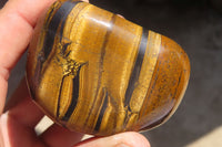 Polished Golden Tigers Eye Free Forms x 6 From Prieska, South Africa