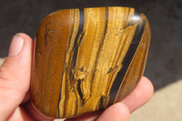 Polished Golden Tigers Eye Free Forms x 6 From Prieska, South Africa