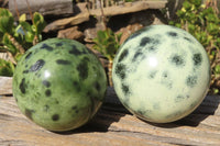 Polished Leopard stone Spheres  x 2 From Inyanga, Zimbabwe - Toprock Gemstones and Minerals 