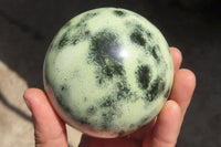 Polished Leopard stone Spheres  x 2 From Inyanga, Zimbabwe - Toprock Gemstones and Minerals 