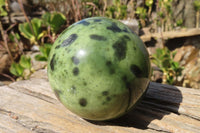 Polished Leopard stone Spheres  x 2 From Inyanga, Zimbabwe - Toprock Gemstones and Minerals 