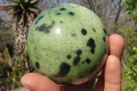 Polished Leopard stone Spheres  x 2 From Inyanga, Zimbabwe - Toprock Gemstones and Minerals 
