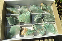 Natural Green Jade Cobbed Specimens x 12 From Swaziland