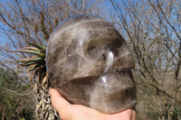 Polished Large Smokey Quartz Skull Carving  x 1 From Madagascar - Toprock Gemstones and Minerals 