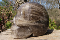 Polished Large Smokey Quartz Skull Carving  x 1 From Madagascar - Toprock Gemstones and Minerals 