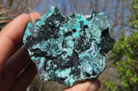 Natural Drusy Chrysocolla Dolomite Specimens x 3 From Likasi, Congo - Toprock Gemstones and Minerals 
