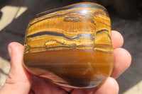 Polished Golden Tigers Eye Free Forms x 6 From Prieska, South Africa