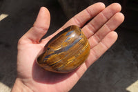 Polished Golden Tigers Eye Free Forms x 6 From Prieska, South Africa