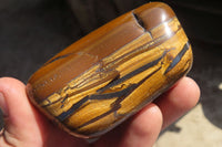 Polished Golden Tigers Eye Free Forms x 6 From Prieska, South Africa