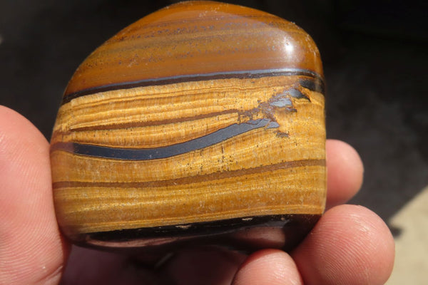 Polished Golden Tigers Eye Free Forms x 6 From Prieska, South Africa