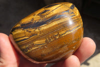 Polished Golden Tigers Eye Free Forms x 6 From Prieska, South Africa