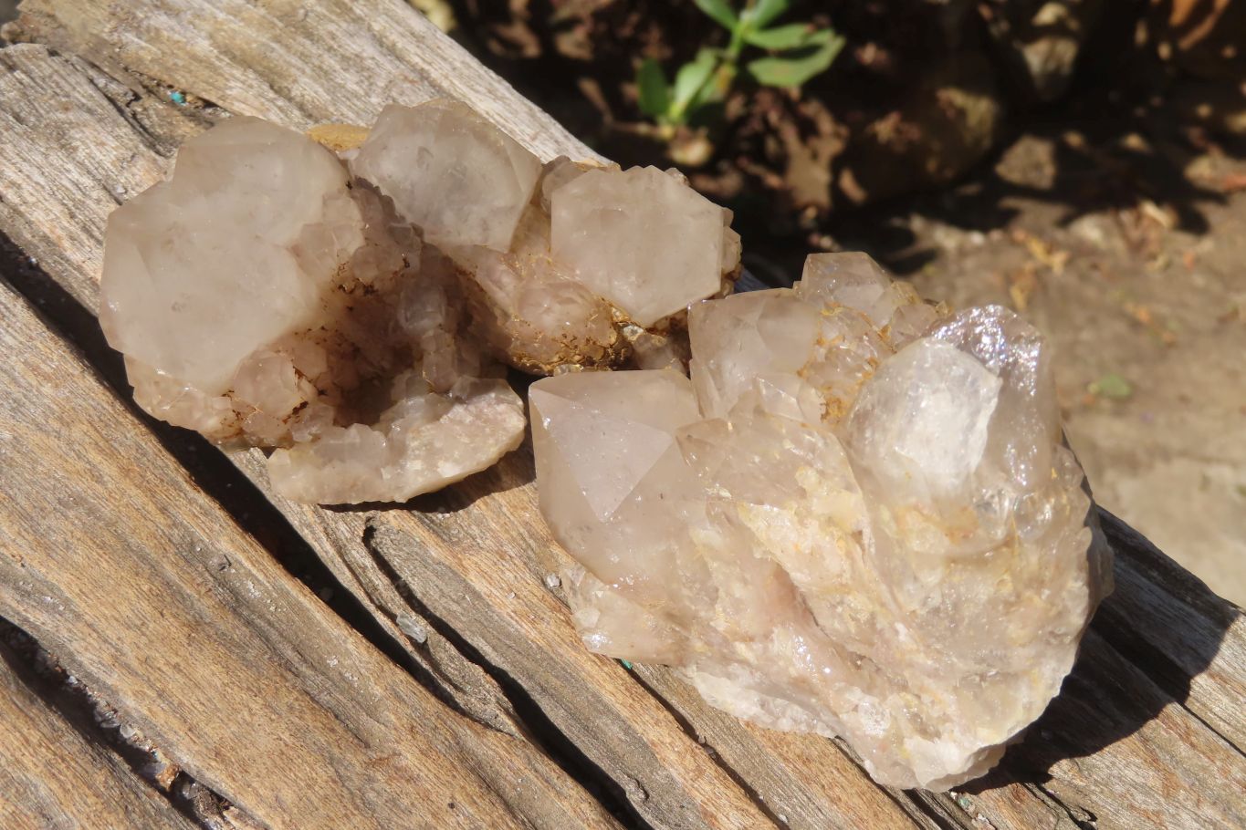 Natural Smokey Phantom Quartz Clusters x 6 From Luena, Congo - Toprock Gemstones and Minerals 