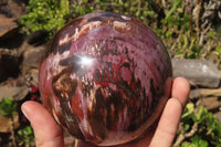 Polished Petrified Wood Sphere x 1 From Mahajanga, Madagascar - Toprock Gemstones and Minerals 