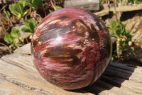 Polished Petrified Wood Sphere x 1 From Mahajanga, Madagascar - Toprock Gemstones and Minerals 