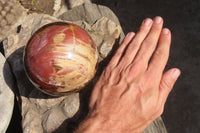 Polished Petrified Wood Sphere x 1 From Mahajanga, Madagascar - Toprock Gemstones and Minerals 