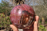 Polished Petrified Wood Sphere x 1 From Mahajanga, Madagascar - Toprock Gemstones and Minerals 