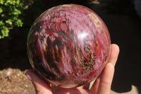 Polished Petrified Wood Sphere x 1 From Mahajanga, Madagascar - Toprock Gemstones and Minerals 