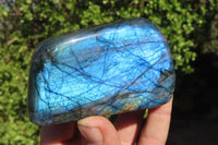 Polished Labradorite Standing Free Forms  x 6 From Tulear, Madagascar - Toprock Gemstones and Minerals 