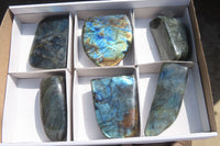Polished Labradorite Standing Free Forms  x 6 From Tulear, Madagascar - Toprock Gemstones and Minerals 