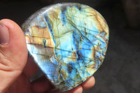 Polished Labradorite Standing Free Forms  x 6 From Tulear, Madagascar - Toprock Gemstones and Minerals 