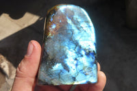 Polished Labradorite Standing Free Forms  x 6 From Tulear, Madagascar - Toprock Gemstones and Minerals 