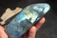 Polished Labradorite Standing Free Forms  x 6 From Tulear, Madagascar - Toprock Gemstones and Minerals 
