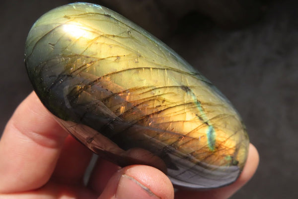 Polished Labradorite Standing Free Forms  x 6 From Tulear, Madagascar - Toprock Gemstones and Minerals 