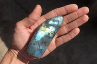 Polished Labradorite Standing Free Forms  x 6 From Tulear, Madagascar - Toprock Gemstones and Minerals 