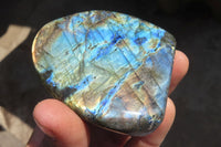 Polished Labradorite Standing Free Forms  x 6 From Tulear, Madagascar - Toprock Gemstones and Minerals 