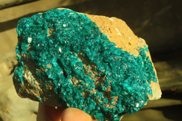 Natural Extra Large Dioptase Dolomite Specimen  x 1 From Congo