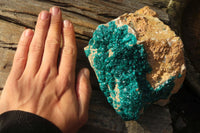 Natural Extra Large Dioptase Dolomite Specimen  x 1 From Congo - Toprock Gemstones and Minerals 
