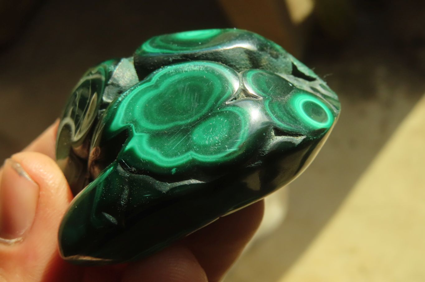 Polished Malacholla Free Forms  x 6 From Congo - Toprock Gemstones and Minerals 