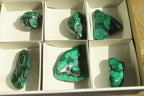 Polished Malacholla Free Forms  x 6 From Congo - Toprock Gemstones and Minerals 