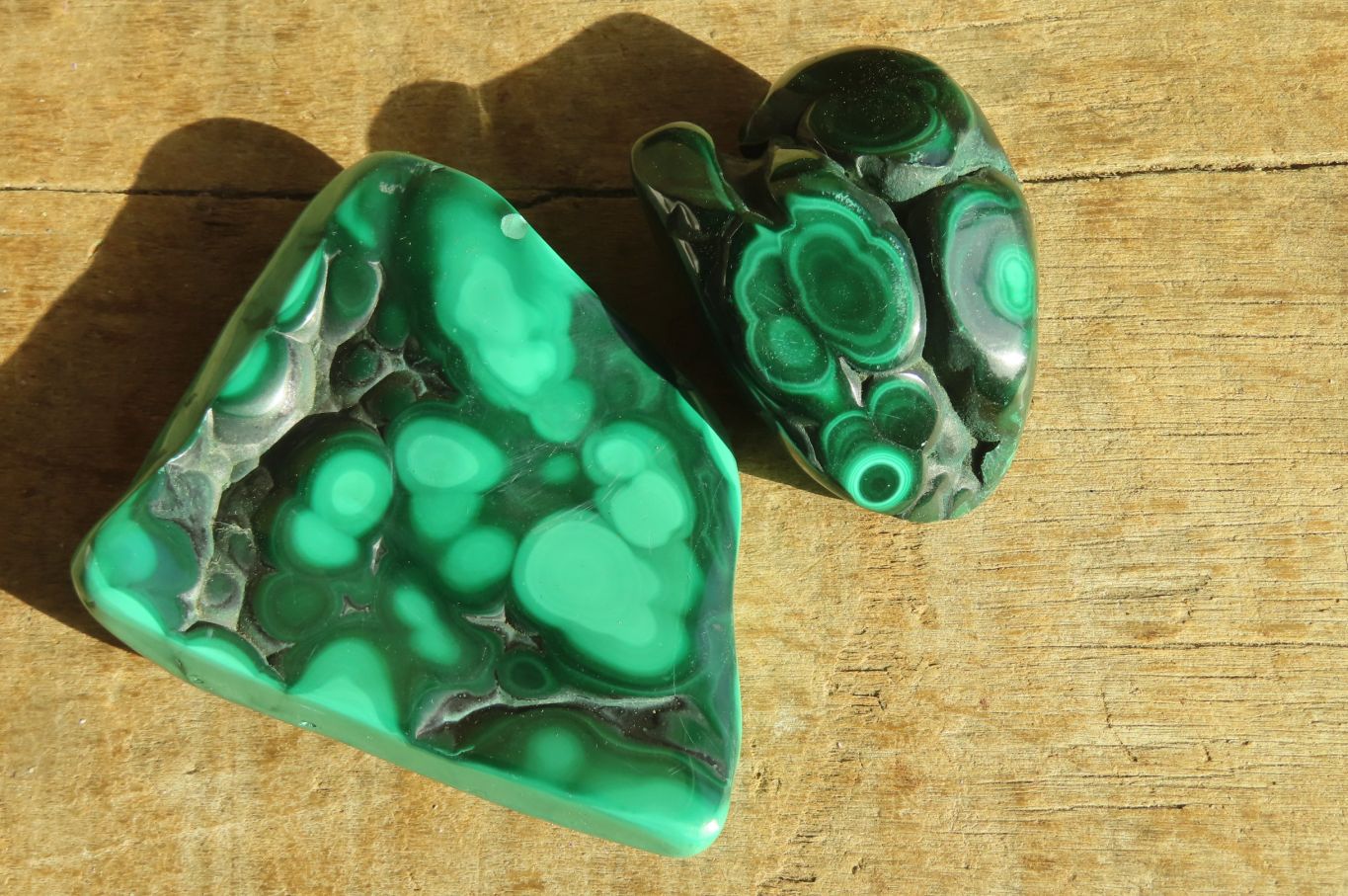 Polished Malacholla Free Forms  x 6 From Congo - Toprock Gemstones and Minerals 