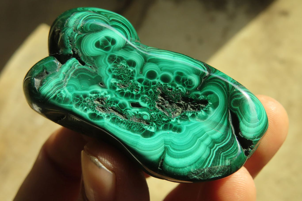 Polished Malacholla Free Forms  x 6 From Congo - Toprock Gemstones and Minerals 