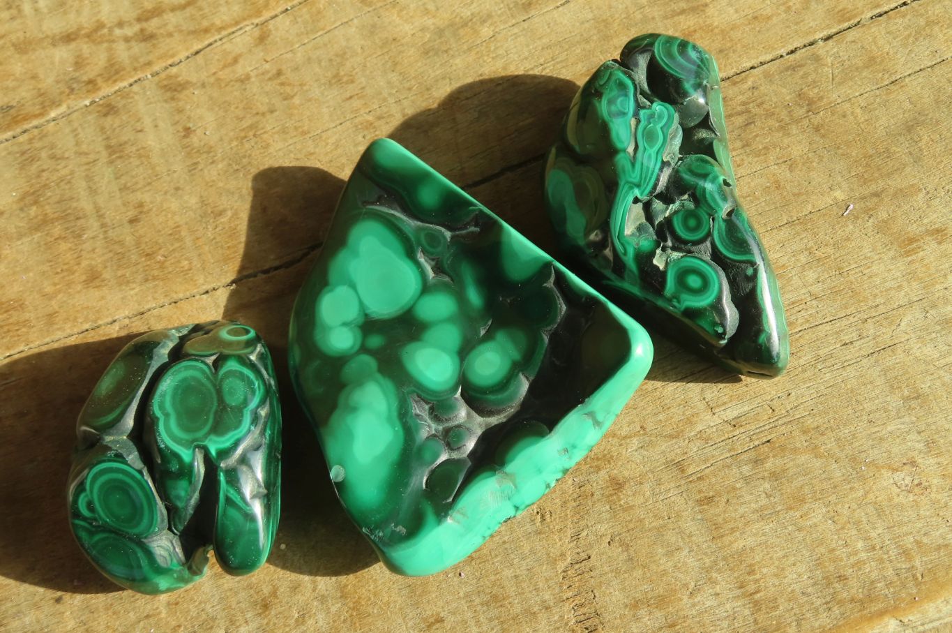 Polished Malacholla Free Forms  x 6 From Congo - Toprock Gemstones and Minerals 