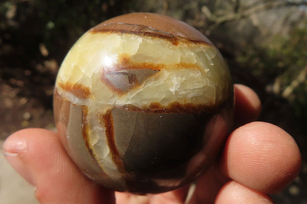 Polished Septaria (Calcite & Aragonite) Spheres  x 6 From Madagascar - Toprock Gemstones and Minerals 