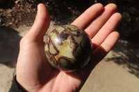 Polished Septaria (Calcite & Aragonite) Spheres  x 6 From Madagascar - Toprock Gemstones and Minerals 
