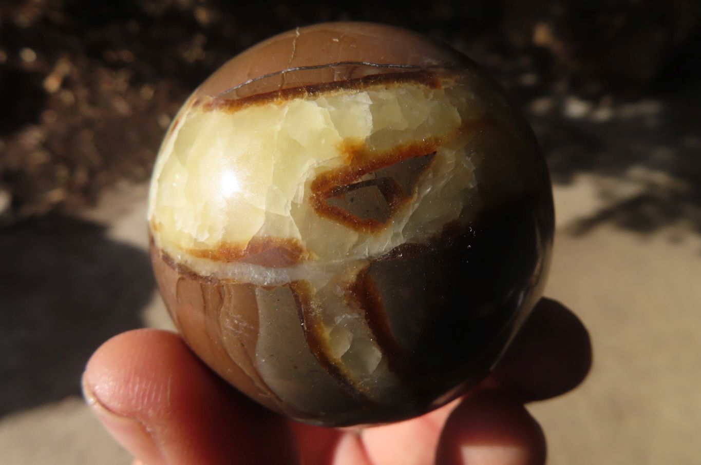 Polished Septaria (Calcite & Aragonite) Spheres  x 6 From Madagascar - Toprock Gemstones and Minerals 