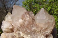 Natural Cascading Smokey Quartz Clusters x 2 From Luena, Congo - Toprock Gemstones and Minerals 