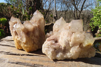 Natural Cascading Smokey Quartz Clusters x 2 From Luena, Congo - Toprock Gemstones and Minerals 